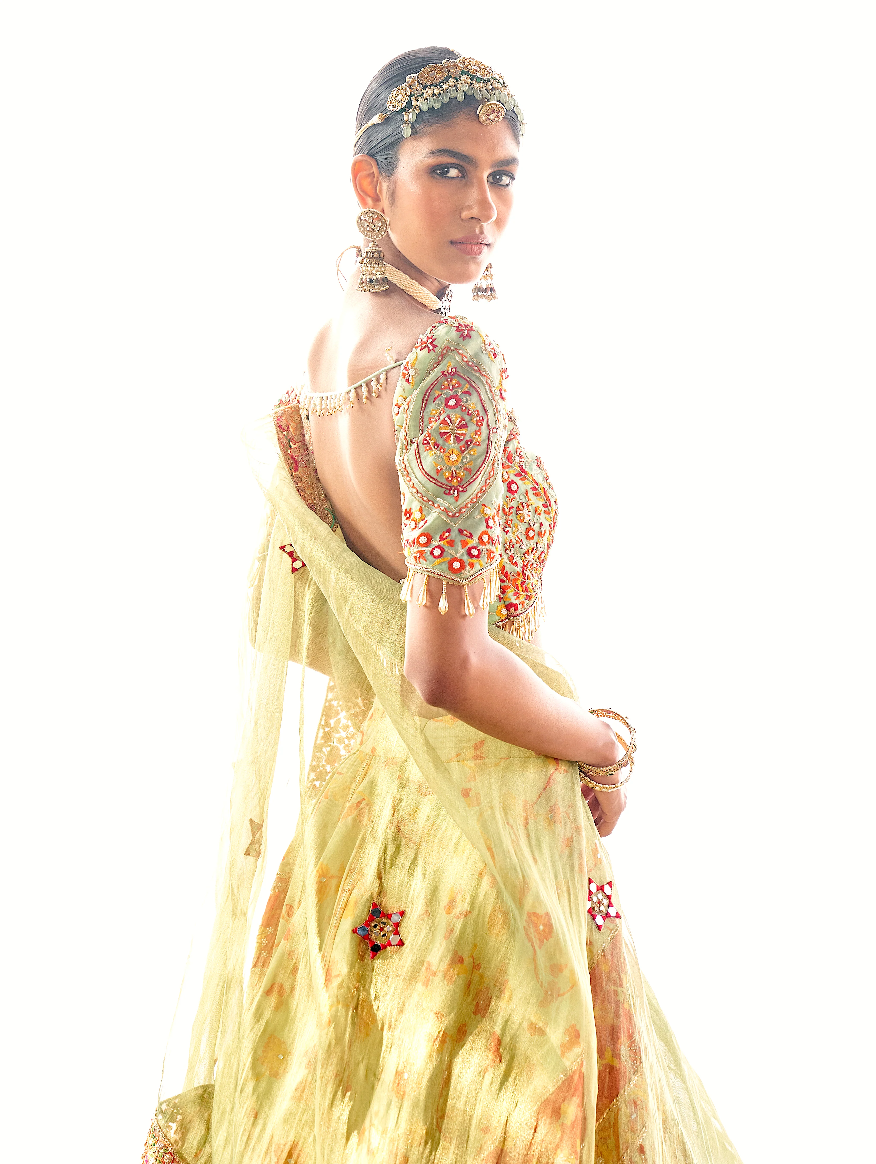 Pista kani Embroidered Lehenga - Image 5