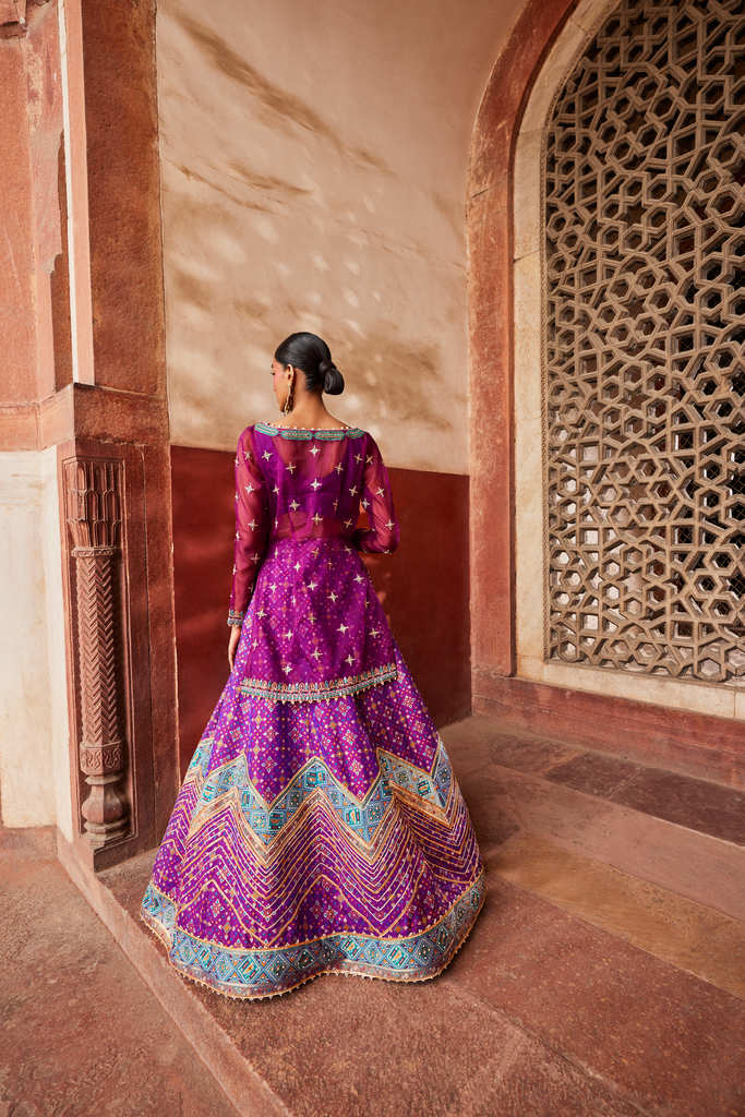 Jamuni Patola Chevron Lehenga with Kurta - Image 4